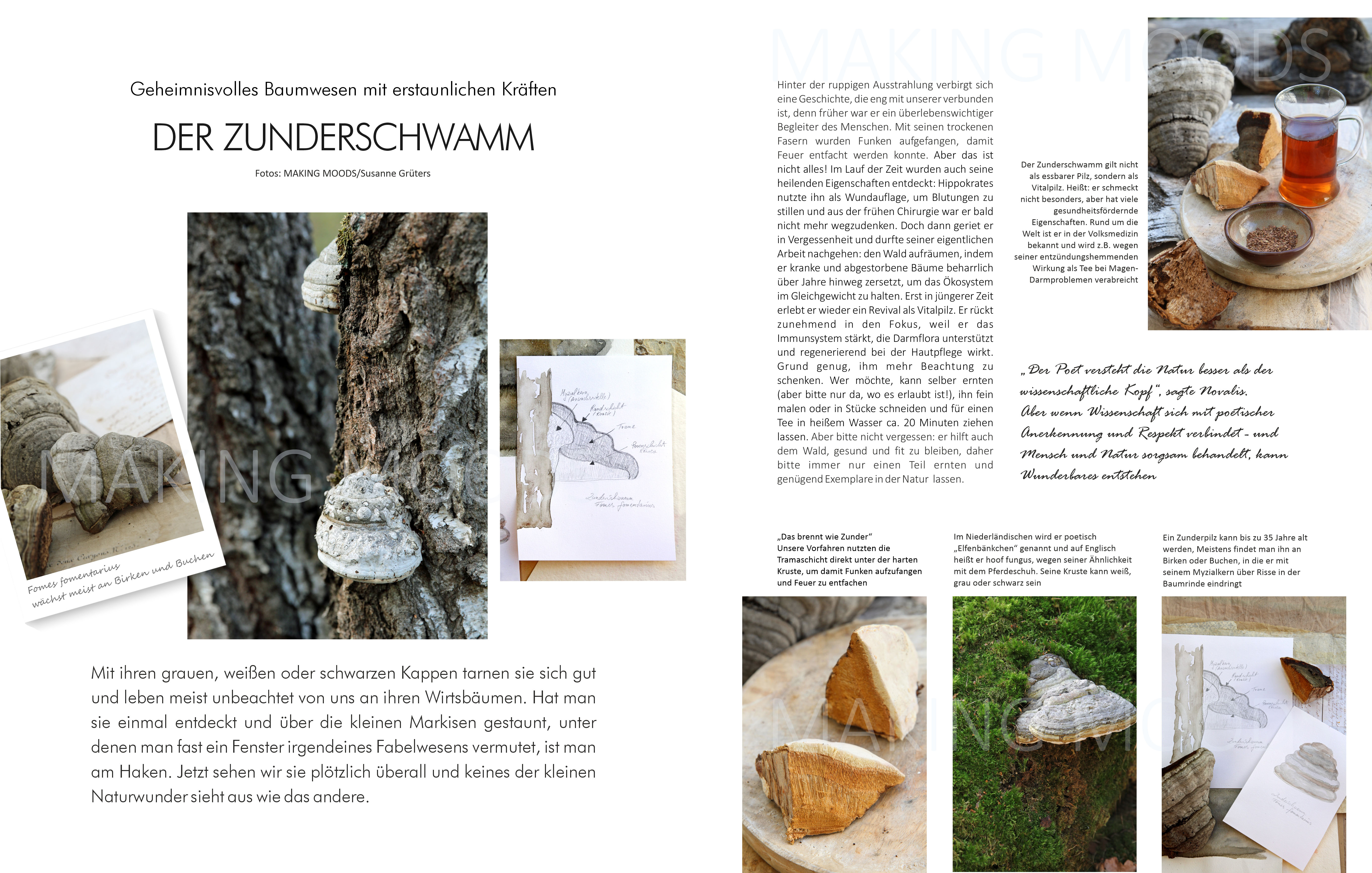 Preview Zunderschwamm-Feat-marked.jpg